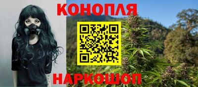 мяу мяу мука Абакан