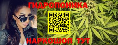 мяу мяу мука Абакан