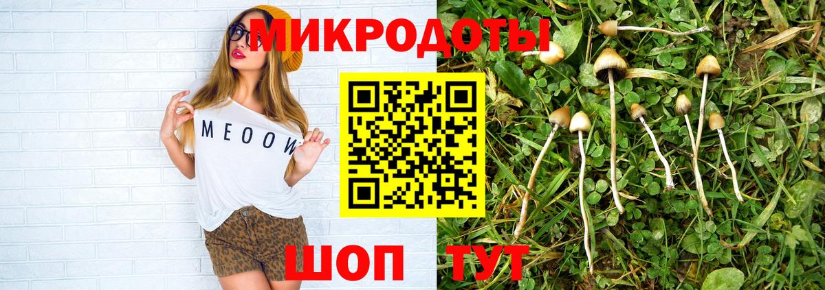 Галлюциногенные грибы прущие грибы  Абакан  Галлюциногенные грибы Psilocybe 